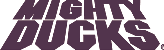Mighty Ducks of Anaheim 1993-2006 Wordmark Logo fabric transfer